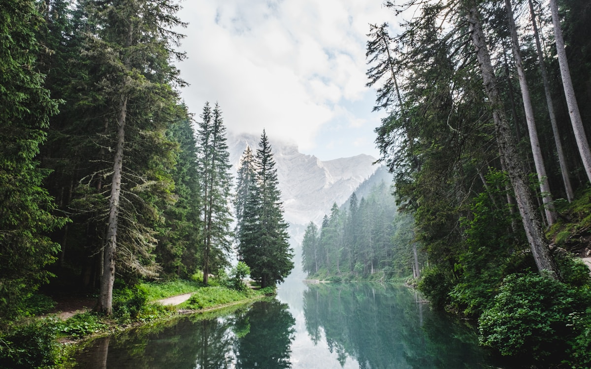 Arunachal Pradesh Explorer — Arunachal Pradesh